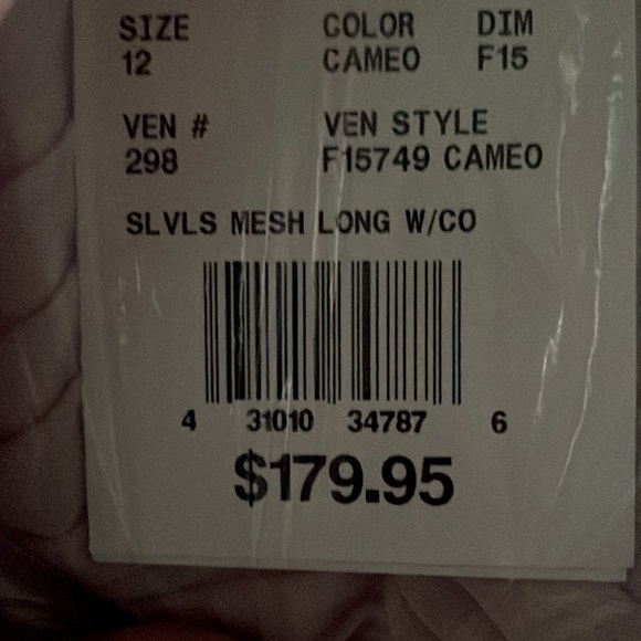 Sleeveless Long Mesh Dress with Corded Lace - Picture 12 of 12